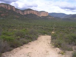 Terreno en Venta en 21 de Marzo Tehuacán