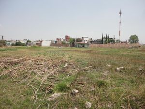 Terreno en Venta en Alseseca Puebla