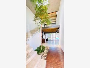 Casa en Renta en Palmira Tinguindin Cuernavaca