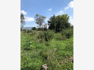 Terreno en Venta en San Pablo Huantepec Jilotepec