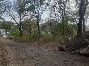 Terreno en Venta en San Juan Tlacotenco Tepoztlán