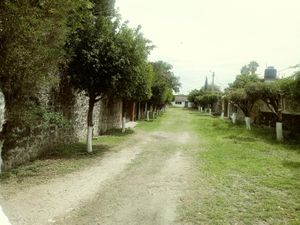 Casa en Venta en Chiconcuac Xochitepec