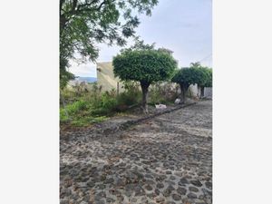 Terreno en Venta en Las Palmas Cuernavaca