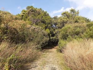 Terreno en Venta en Del Bosque Cuernavaca