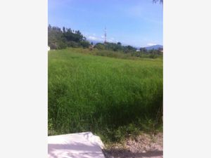 Terreno en Venta en Centro Jiutepec Jiutepec