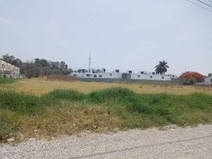 Terreno en Venta en Centro Jiutepec Jiutepec