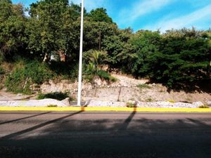 Terreno en Venta en Alta Palmira Temixco