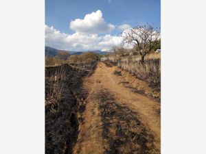 Terreno en Venta en Amatlán de Quetzalcóatl Tepoztlán