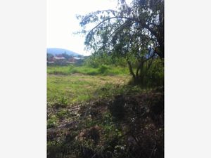 Terreno en Venta en Centro Jiutepec Jiutepec