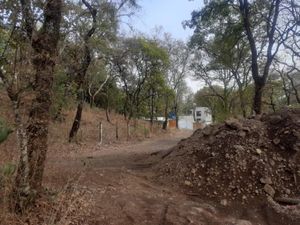 Terreno en Venta en San Juan Tlacotenco Tepoztlán