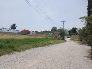 Terreno en Venta en Centro Jiutepec Jiutepec