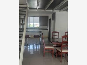 Departamento en Renta en Chapultepec Cuernavaca