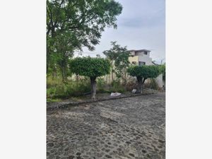 Terreno en Venta en Las Palmas Cuernavaca