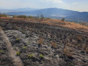 Terreno en Venta en Amatlán de Quetzalcóatl Tepoztlán