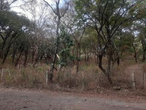 Terreno en Venta en San Juan Tlacotenco Tepoztlán