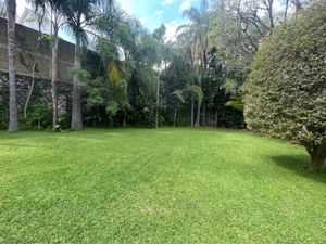 Terreno en Venta en Acapatzingo Cuernavaca