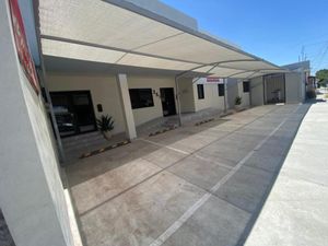 Departamento en Renta en Ampliación los Ángeles Torreón