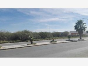 Terreno en Venta en San Eduardo Torreón