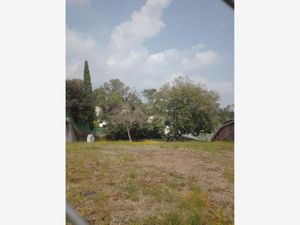 Terreno en Venta en Rancho Cortes Cuernavaca