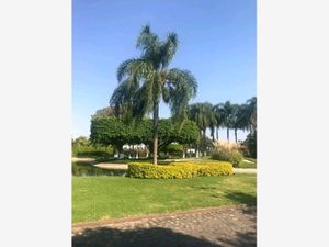 Terreno en Venta en Kloster Sumiya Jiutepec