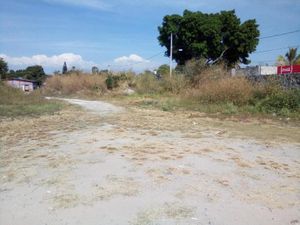 Terreno en Venta en Lazaro Cardenas Xochitepec