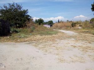 Terreno en Venta en Lazaro Cardenas Xochitepec