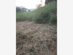 Terreno en Venta en Lomas de Vista Hermosa Cuernavaca