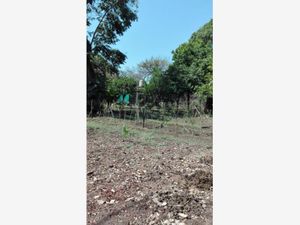 Terreno en Venta en Reforma Cuernavaca