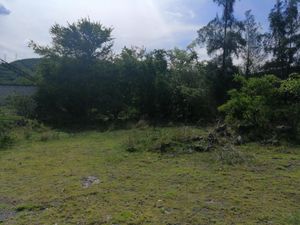 Terreno en Venta en El Caudillo del Sur Yautepec