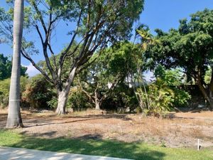 Terreno en Venta en Palmira Tinguindin Cuernavaca