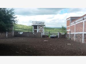 Finca/Rancho en Venta en El Nacimiento Apaseo El Grande