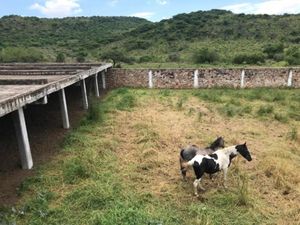 Finca/Rancho en Venta en El Nacimiento Apaseo El Grande