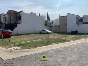 Casa en Renta en Parque de La Castellana Zapopan