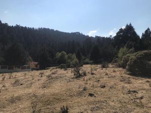 Terreno en Venta en Bosques de San Cayetano Mineral del Monte