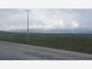 Terreno en Venta en Jagüey de Tellez (estacion Tellez) Zempoala