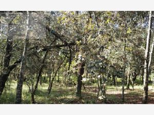 Terreno en Venta en Bermúdez Huasca de Ocampo