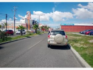 Terreno en Renta en La Puerta de Hierro Pachuca de Soto