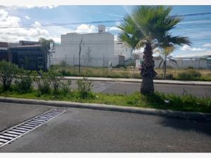 Terreno en Renta en La Puerta de Hierro Pachuca de Soto