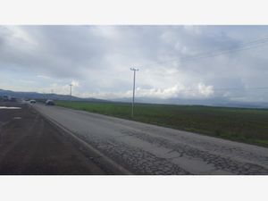 Terreno en Venta en Jagüey de Tellez (estacion Tellez) Zempoala