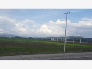 Terreno en Venta en Jagüey de Tellez (estacion Tellez) Zempoala