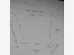 Terreno en Venta en Jagüey de Tellez (estacion Tellez) Zempoala