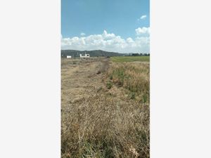 Terreno en Venta en Villa de Tezontepec Centro Villa de Tezontepec