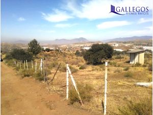 Terreno en Venta en Tecate Tecate