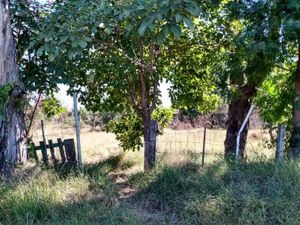 Terreno en Venta en Lomas Verdes Culiacán