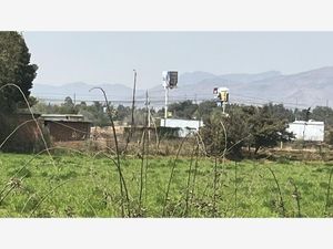 Terreno en Venta en El Sabino Cuautitlán Izcalli