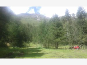 Terreno en Venta en Mesa de las Tablas Arteaga