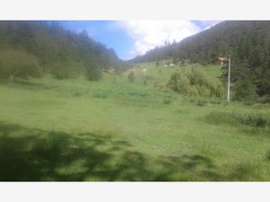 Terreno en Venta en Mesa de las Tablas Arteaga