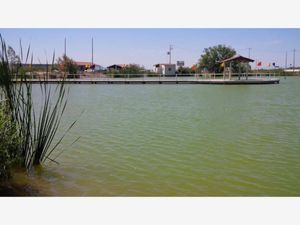 Terreno en Venta en Parque Industrial Santa María Ramos Arizpe