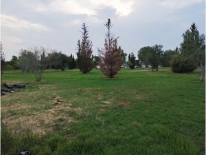 Terreno en Venta en El Tanque de los Jimenez Aguascalientes