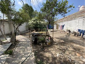 Terreno en Venta en Alameda Tlajomulco de Zúñiga